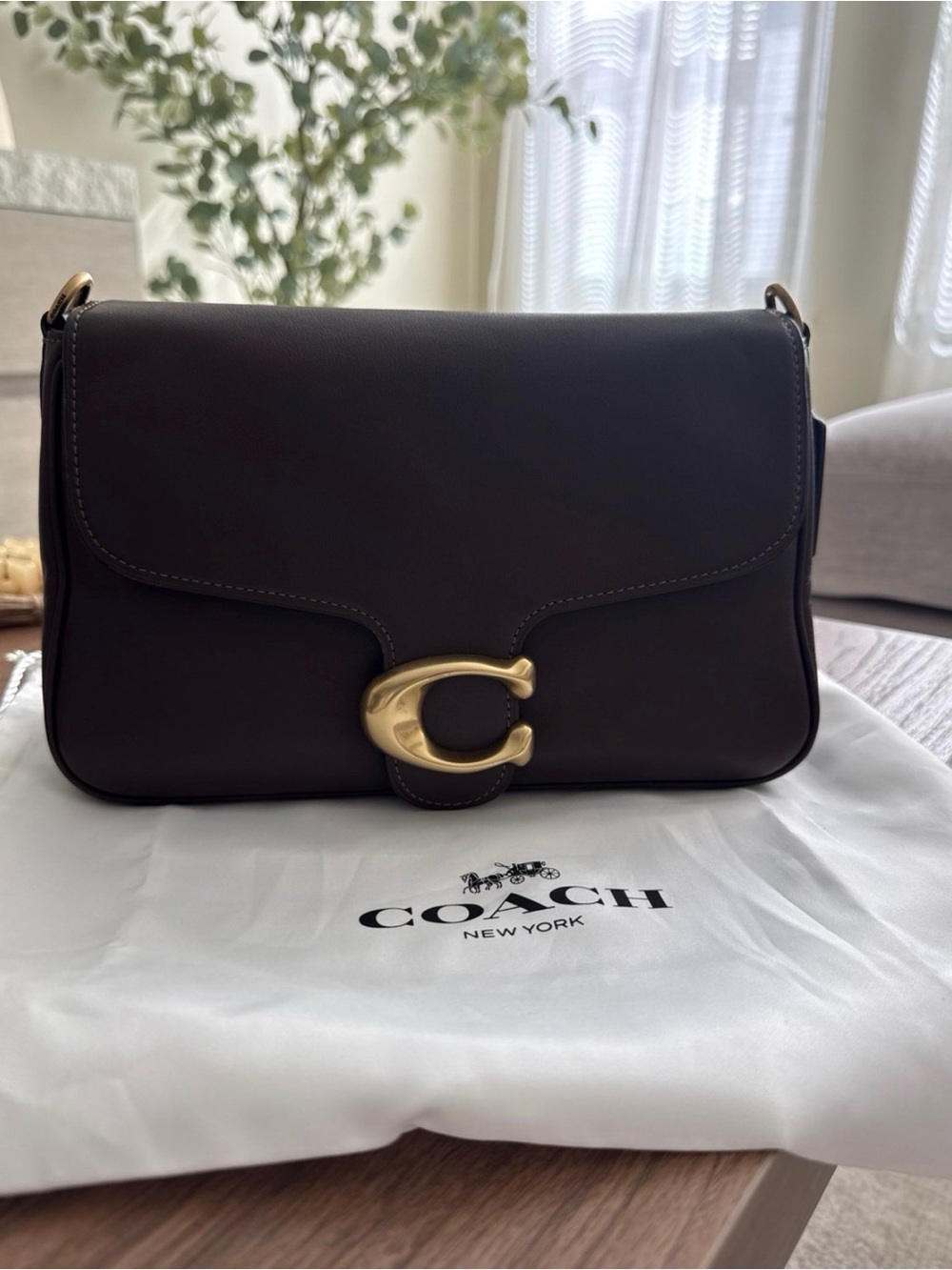 Coach Soft Tabby Bag